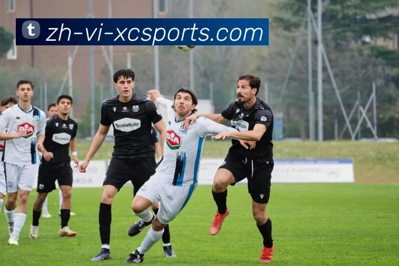 杏彩体育平台生态图